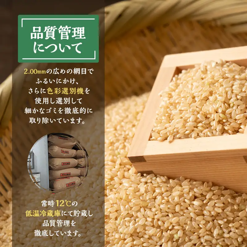 令和7年産 玄米 秋田県産 あきたこまち  アグリ檜山米 玄米【5kg】