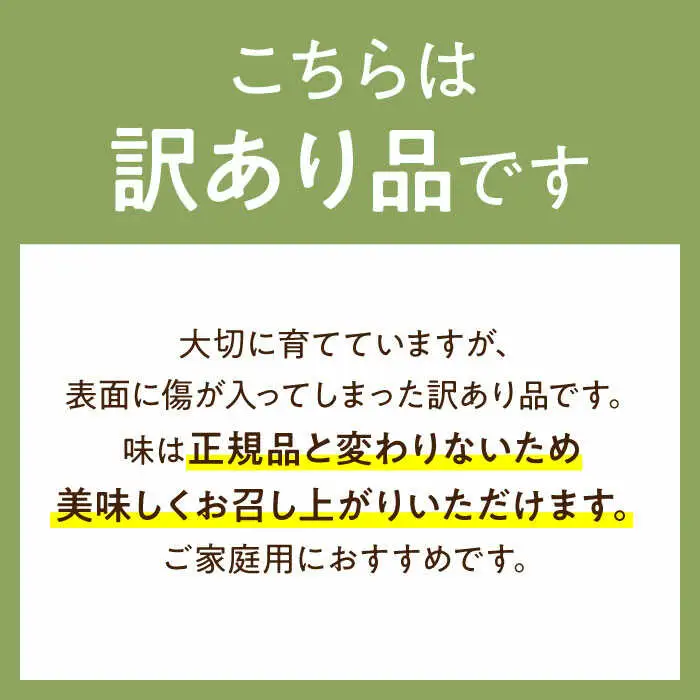 【2027年5月-発送】【さわやかな味!】訳あり タカミメロン 2箱セット（1箱 3?6玉）傷もの / メロン めろん フルーツ 果物 / 南島原市 / 南島原果物屋[SCV026]
