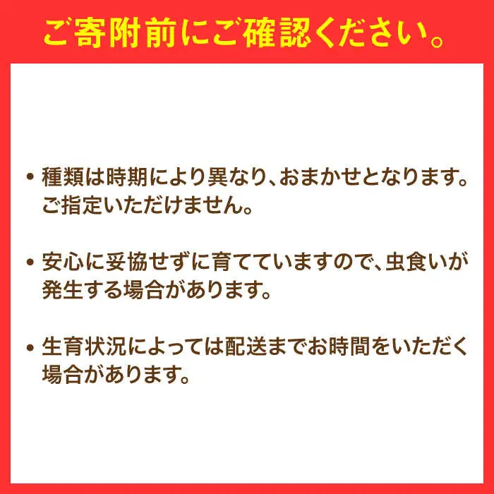 【特別栽培】 農家セレクト日田の厳選食材 詰め合わせ 日田市 野菜 果物 米 産地直送 新鮮 セット [ARBR001]