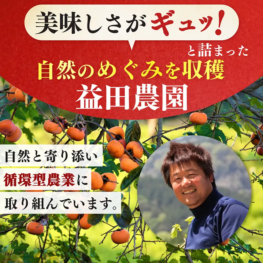  【 先行予約 】 【なら育ち 益田農園】たねなし柿　訳アリ　約7kg(28玉～36玉）｜フルーツ 果物くだもの 柿 かき カキ  柿 奈良県 五條市