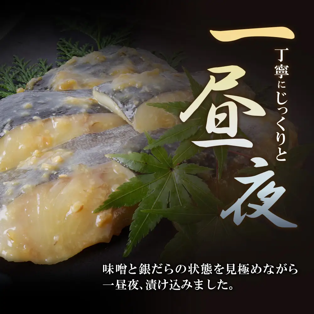 Z61-118F 【ふるなびWEEK対象】銀ダラ西京漬（生）（8P） 西京漬け