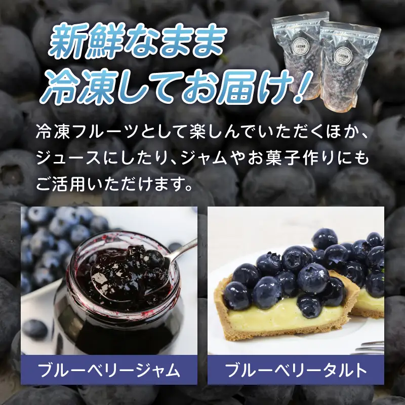 【超大粒】山梨県産（明野産）冷凍　ブルーベリー500g [h290]