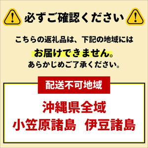 定期便 6回 ハンバーグ 1.2kg 個包装 ギフト お歳暮 大判ハンバーグ