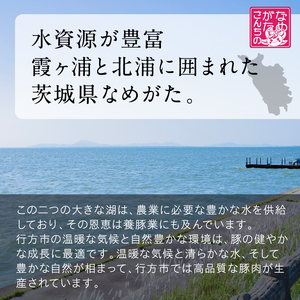 【2026年8月より順次発送】焼売 美明豚「びめいとん」のジューシー焼売2パック（30g×20個×2袋）｜シュウマイ 焼売 美明豚 びめいとん 肉 肉加工品 豚肉 お肉 ジューシー 茨城県 行方市(HJ-1-1)