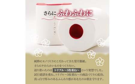 【先行予約】【3回定期便】トイレットペーパー 無香料 ピュアパルプ うさぎ8ロール化粧箱入ギフト×6ケース 2ヵ月毎 全3回 白 赤芯 トリプル ウサギ かわいい 可愛い おしゃれ【望月製紙株式会社】[BQAR024]