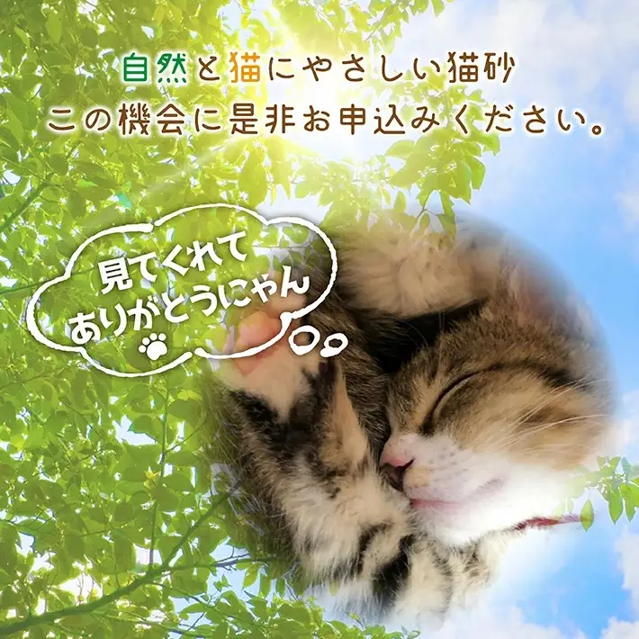 森の猫砂 庄内の天然木材100％ 5L×4袋 合計20L ねこ 猫 ネコ トイレ 天然 木 木材 ペレット 消臭 保護猫 地域密着型 添加物不使用 国産 間伐材 黒松 木質バイオマス モルモット フェレット [941]