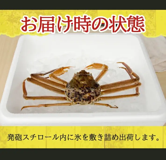 生・本ズワイガニ 1匹 350g程度 遊佐沖 10月中旬～12月下旬頃お届け 冷蔵便 ※着日指定・離島（沖縄県を含む）発送不可 1人前 東北 山形県 庄内地方 日本海 カニ 蟹 かに 海産物 シーフード 海鮮 新鮮 鮮魚 まるごと 生食 刺身 ボイル 期間限定 [852]