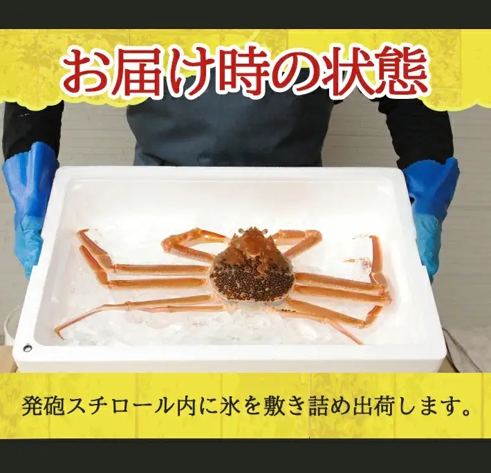 生・本ズワイガニ 1匹 700g程度 遊佐沖 10月中旬～12月下旬頃お届け 冷蔵便 ※着日指定・離島（沖縄県を含む）発送不可 2人前 東北 山形県 庄内地方 日本海 カニ 蟹 かに 海産物 シーフード 海鮮 新鮮 鮮魚 まるごと 生食 刺身 ボイル 焼き 期間限定 [854]