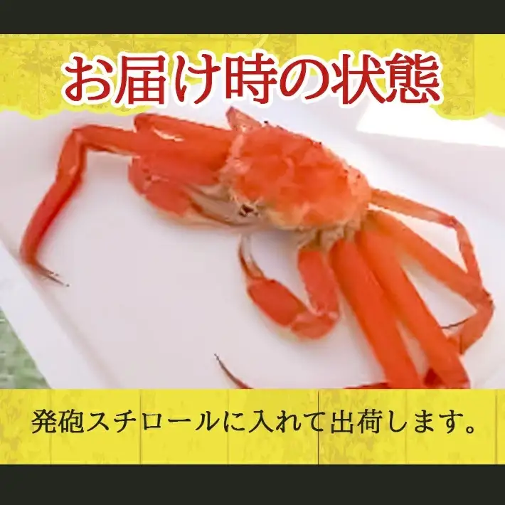 ボイル 本ズワイガニ 1匹 500g程度 遊佐沖 10月中旬～12月下旬頃お届け 冷蔵便 ※着日指定・離島（沖縄県を含む）発送不可 東北 山形県 遊佐町 庄内地方 日本海 カニ 蟹 海産物 シーフード 海鮮 新鮮 まるごと ボイル 焼き 期間限定 お取り寄せ ゆで 茹で [974]
