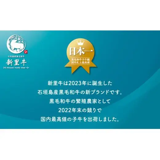 石垣島産 黒毛和牛 新里牛 極希少！ テールカット1本 約1.5kg（1～1.5kg） SZ-43