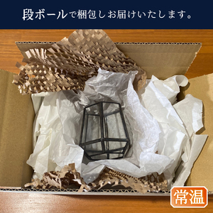 ハリケーンランタン用グローブ KaledoGloves (a45-013)