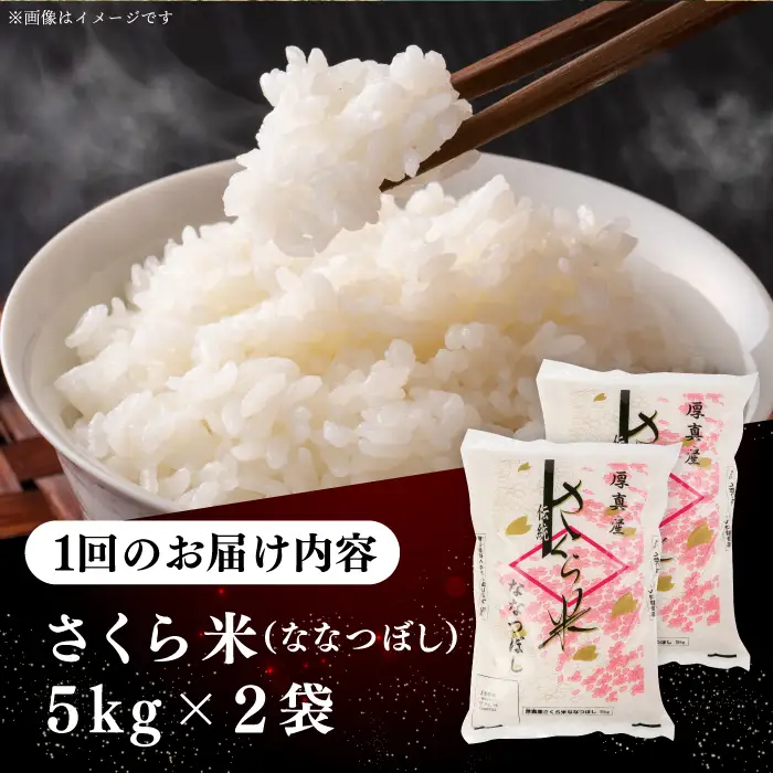 令和7年産 令和8年産 【全2回定期便】ななつぼし さくら米 10kg 2カ月 連続 毎月 お米 白米 ななつぼしブランド米 特A 一等米 北海道 [AXAB067]