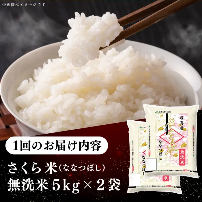 令和7年産 令和8年産 【全2回定期便】【無洗米】さくら米（ななつぼし）10kg 2カ月 連続 毎月 お米 無洗米 白米 ご飯 ななつぼしブランド米 北海道 [AXAB075]