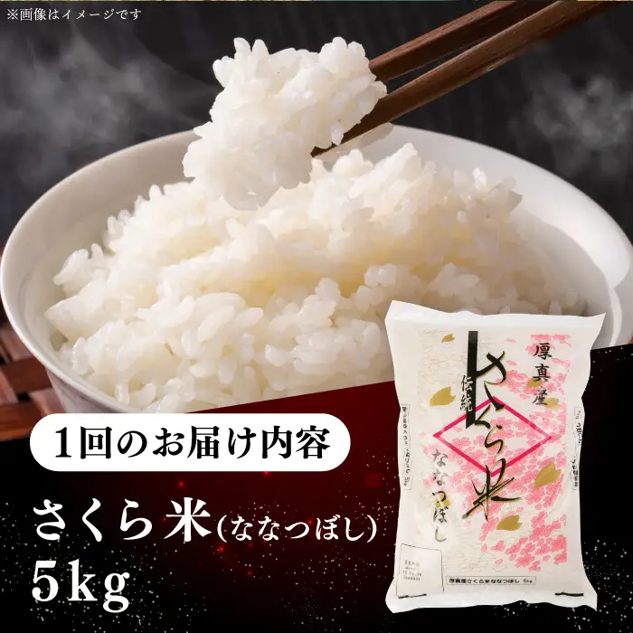 令和7年産 令和8年産 【全2回定期便】ななつぼし さくら米 5kg 2カ月 お米 一等米 北海道 [AXAB078]