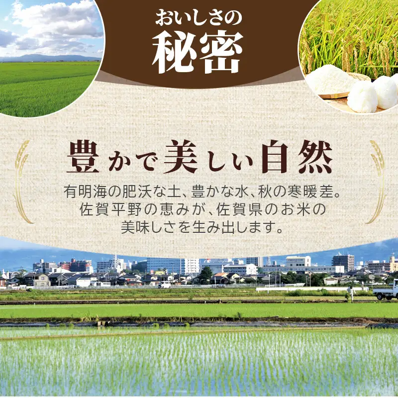 令和7年産 無洗米 6kg ( 3kg × 2袋 ) さがびより 佐賀県産 特A 米 お米 こめ コメ 白米 五つ星 お米マイスター厳選 弁当