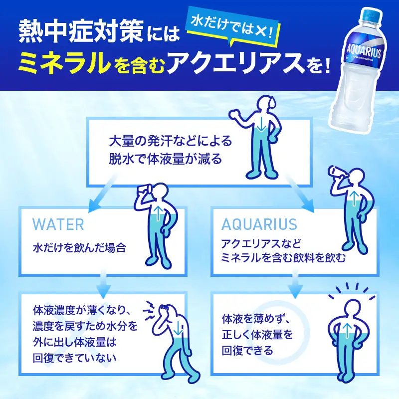 アクエリアス 500ml 24本 スポーツ コカ・コーラ 