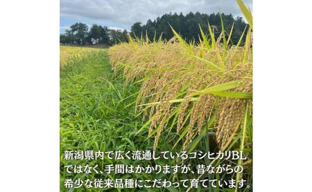 令和7年 新潟県産 特別栽培米 コシヒカリ 5kg 5キロ上越市清里区 新潟 精米 従来品種 希少 限定 送料無料