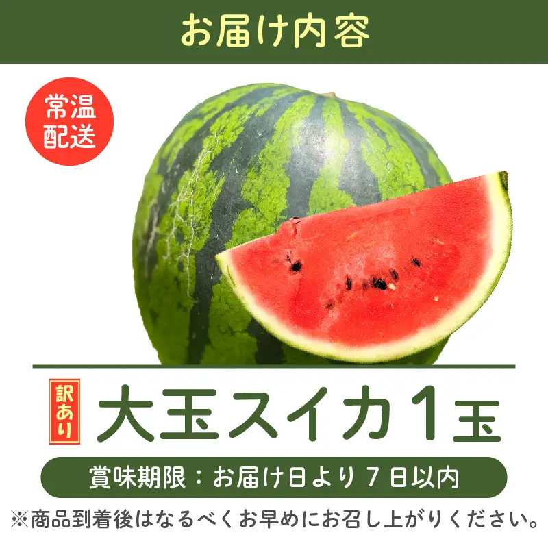 大玉スイカ 1玉 訳あり 羅皇 令和8年産 スイカ 果物 フルーツ [A-16514]