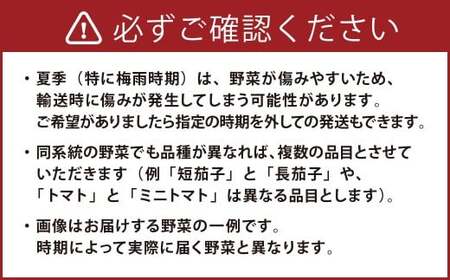 【定期便 12回コース】野菜のプロ40年が届ける 厳選野菜セット！ 野菜・フルーツ 15～16品目 詰め合わせ