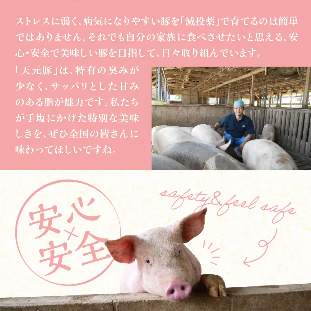 豚肉 天元豚 モモ バラ サイコロカット 500g