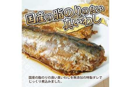 金ごまをたっぷりまぶして召し上がれ「金ごま真いわし」4パックセット 国産真いわし佃煮 計8尾 無添加 金ごま 真いわし 佃煮 常温保存 ご飯のおとも おかず おつまみ [807]