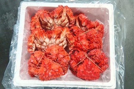 【北海道根室産】花咲ガニ300g×10尾 C-57047
