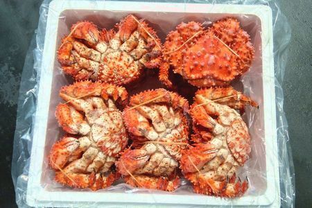 【北海道根室産】花咲ガニ10尾(計3.5kg前後) C-57052