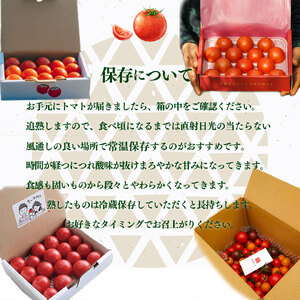 【ふるさと納税】＜フルーツトマト 定期便 4農家からリレーでお届け＞ 数量限定 カラフルトマト 計4回 高糖度トマト さかわ自慢のトマト 【常温】【冷蔵】桃太郎トマト アイコ トスカーナバイオレット オレンジ千果 フルティカ 小鈴エル アルテトマト 送料無料 産地直送