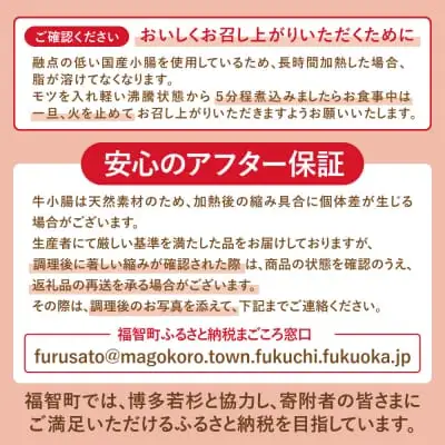 Z61-23 博多若杉 牛もつ鍋＆水炊きセット(各2～3人前) もつ鍋