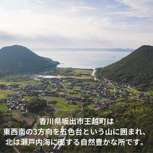 レモンスーン6本セット