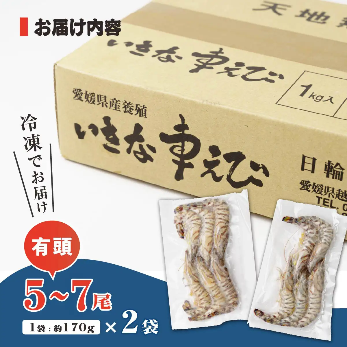 車海老 急速冷凍 活きな 車えび【有頭5～7尾(約170g)×2袋セット】【配送不可地域：離島】