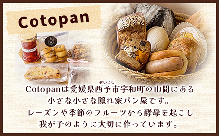 ＜Cotopanおまかせパンセット（8～9個）＞ 天然酵母 国産 ハード系 スイーツ モーニング 低温長時間発酵 パン お楽しみ 定番商品 おすすめ商品 自家製酵母 詰め合わせ 詰合せ 詰め合せ Cotopan 愛媛県 西予市【冷凍】『1か月以内に順次出荷予定』UCO0001
