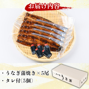 国産！うなぎ蒲焼き(5尾・タレ付き) 国産 九州産 鹿児島県 宮崎県 鰻 ウナギ unagi うな重 うな丼 ひつまぶし うなじゅう 蒲焼 かばやき 無頭 魚 魚介類 土用 丑の日 タレ タレ付 おかず 惣菜 冷蔵 特産品 お土産 ギフト プレゼント ご贈答 真空パック 湯煎 レンジ 簡単調理 【尾方屋】_y488
