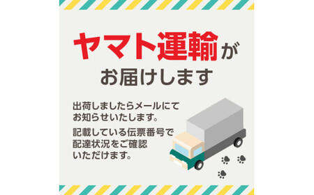 年齢別おすすめの絵本セット（偕成社）3歳～におすすめ 0047-001-S06-3