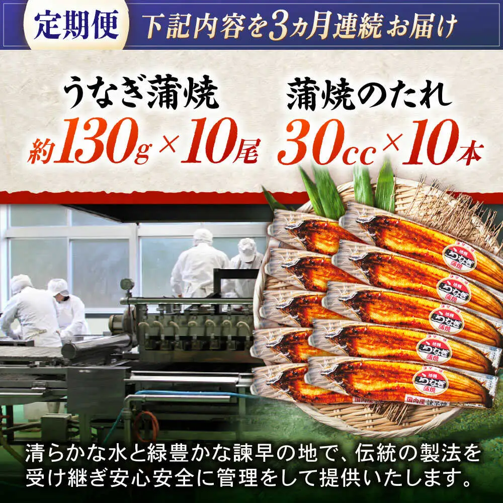 【3回定期便】【諫早淡水】うなぎ蒲焼10尾 / うなぎ ウナギ 鰻 蒲焼 たれ 老舗 / 諫早市 / 諫早淡水株式会社 [AHAT021]