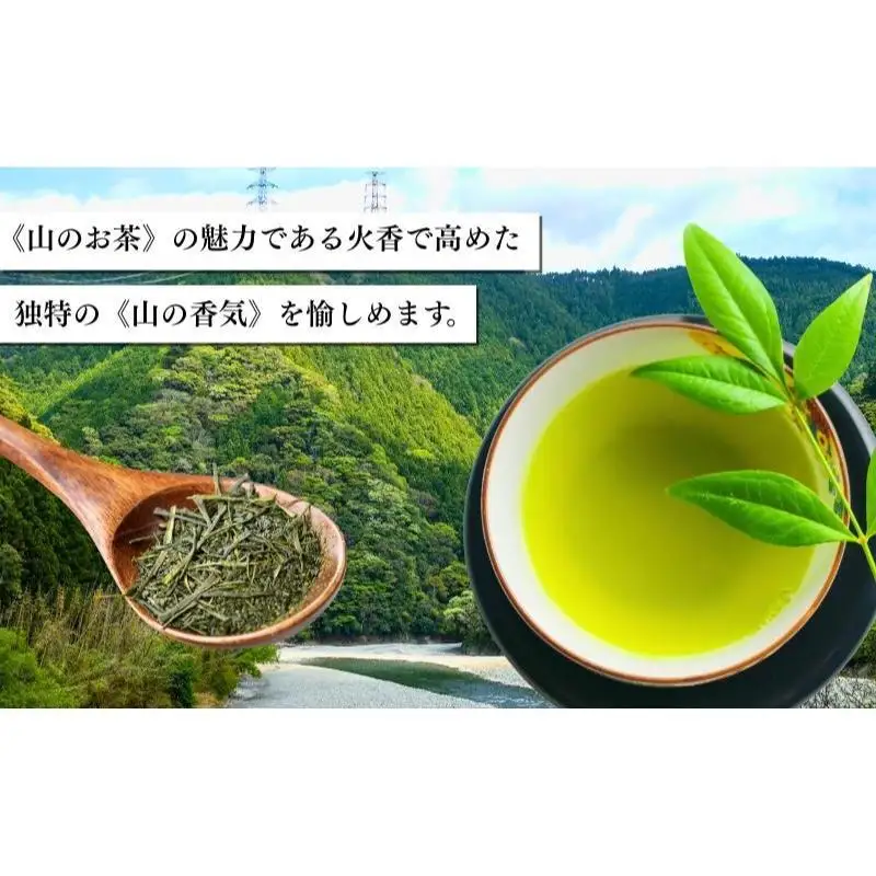お茶 天竜水系 5本セット 緑茶 静岡県 森町 お茶