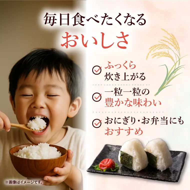 令和7年産 茨城県産 コシヒカリ5kg【お米 米 コメ こめ こしひかり精米 北茨城市 茨城県】(AL253)