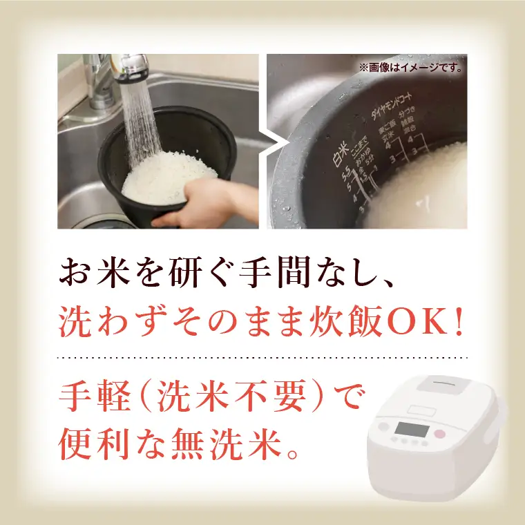 令和7年産 茨城県産 無洗米コシヒカリ5kg【お米 米 コメ こめ こしひかり 無洗米 北茨城市 茨城県】(AL256)