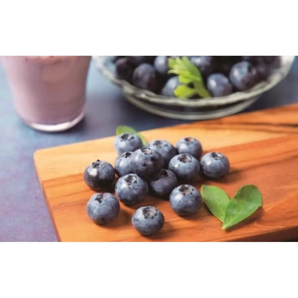 Fuji Berry ブルーベリーアイス食べ比べセット（小）
