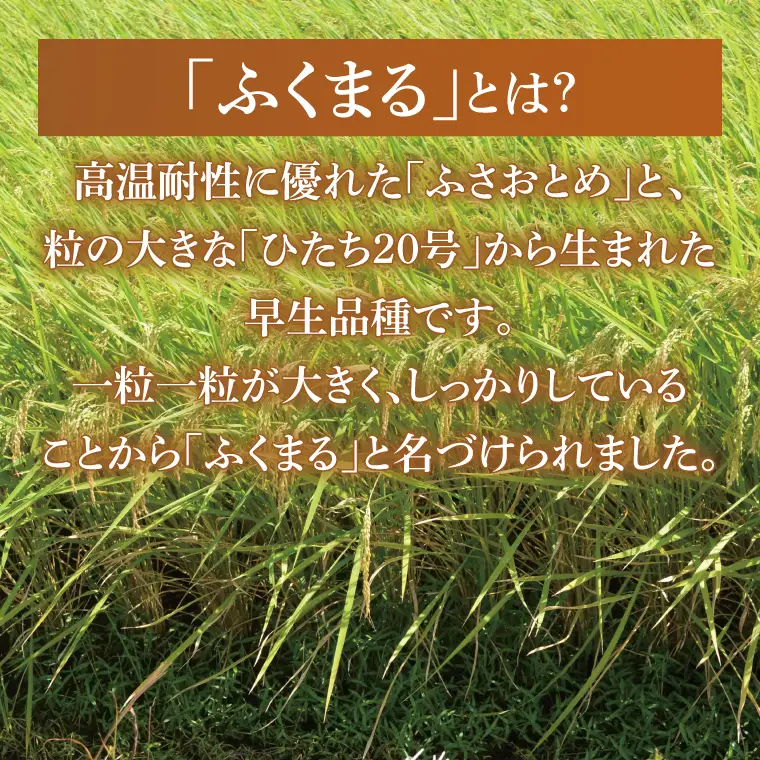 【茨城県共通返礼品】【人気2銘柄食べ比べ】令和7年産 茨城県産 ミルキークイーン・ふくまる　5kg×各1袋（計10kg）【お米 米 ごはん 茨城県】（03-67-1）