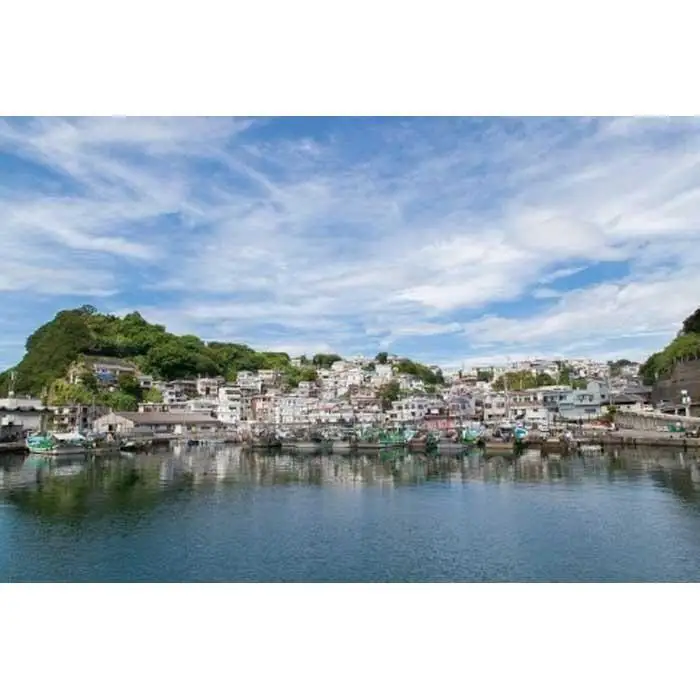 【和歌山市】JTBふるさと旅行券（90,000円分）有効期間5年 | 予約 宿泊 観光 体験 温泉 ホテル 旅館 チケット 子供 子連れ カップル 家族 店頭 電話 和歌山