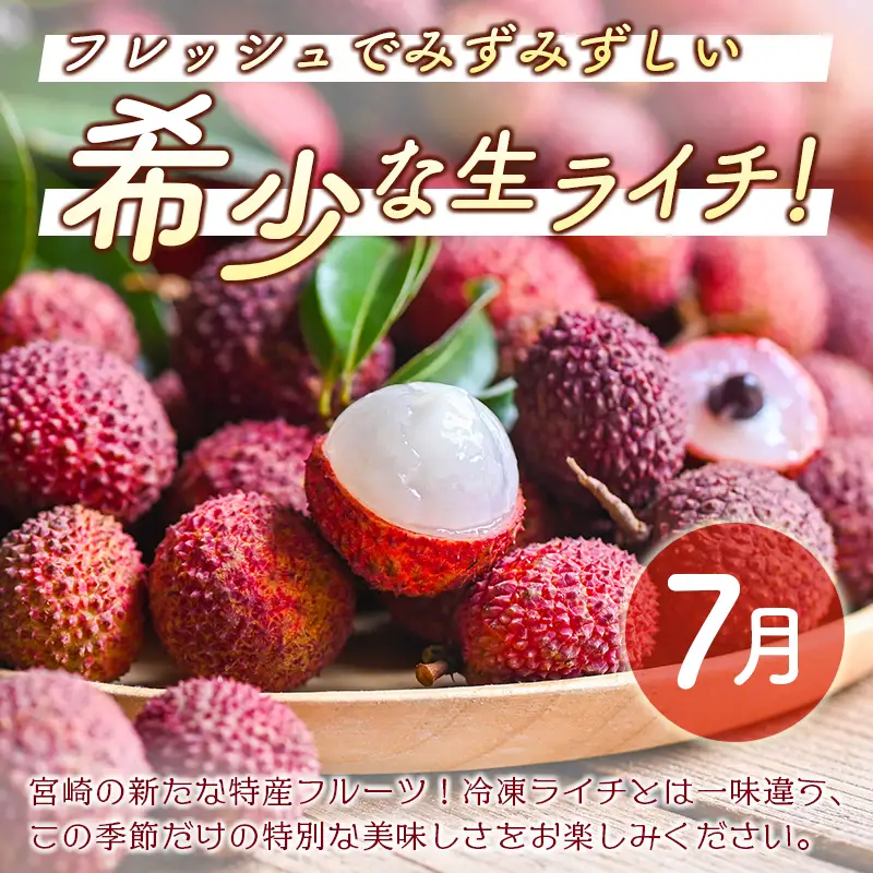 2027年出荷 人気フルーツ 定期便 5月～8月 全4回 くだもの F149-27