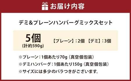 175-1211 【おおいた和牛 100%使用】デミ＆プレーン ハンバーグ ミックス セット 5個 計約590g 牛肉 肉 和牛 おかず 惣菜 冷凍 簡単調理 デミグラス