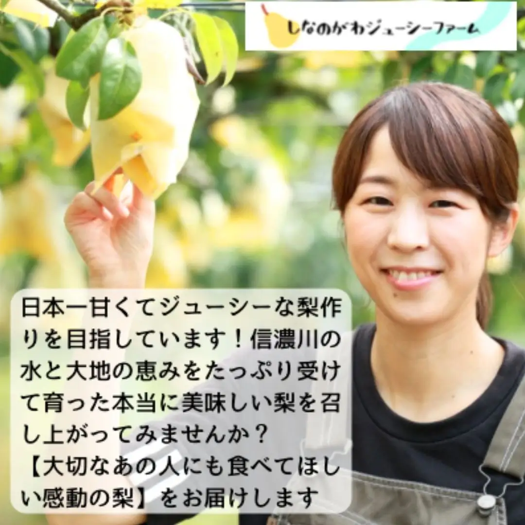 [2026年産先行予約] ル・レクチェ2kg 自家用 新潟県三条市産 [しなのがわジューシーファーム] 洋梨の貴婦人 新潟県産 洋梨 【010S687】