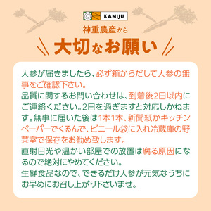 【予約受付】＜フジテレビ『どっちのふるさと？』で紹介されました！＞【期間限定】訳あり！こどもも食べられる甘み！「マドンナキャロット」 3kg にんじん 人参 ニンジン 野菜 やさい 国産 碧南市 健康 食品ロス削減 甘い 先行予約 旬 特産 高評価 高リピート 人気 H105-204