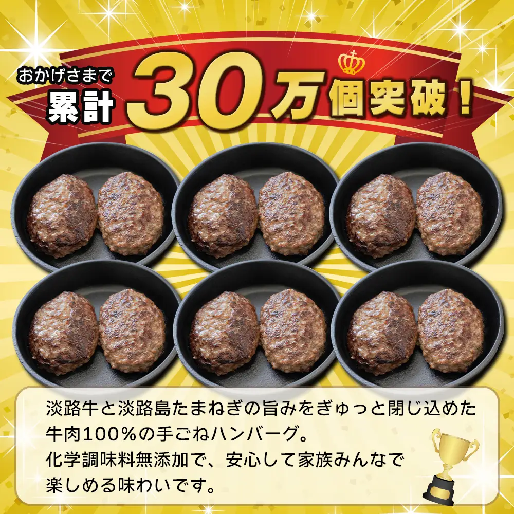 淡路島 極味ハンバーグ 150g×12個【2027年1月より順次発送】ハンバーグ