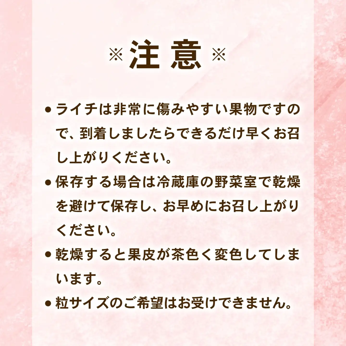 【令和9年6月上旬頃より発送】先行予約 お試しパック 生ライチ 国産