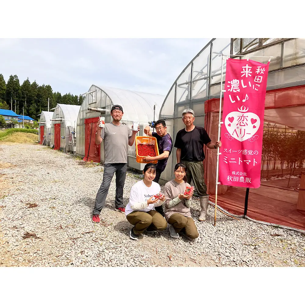 【テレビで紹介】「恋ベリー」を贅沢に使った濃厚パスタソース 300g×3個