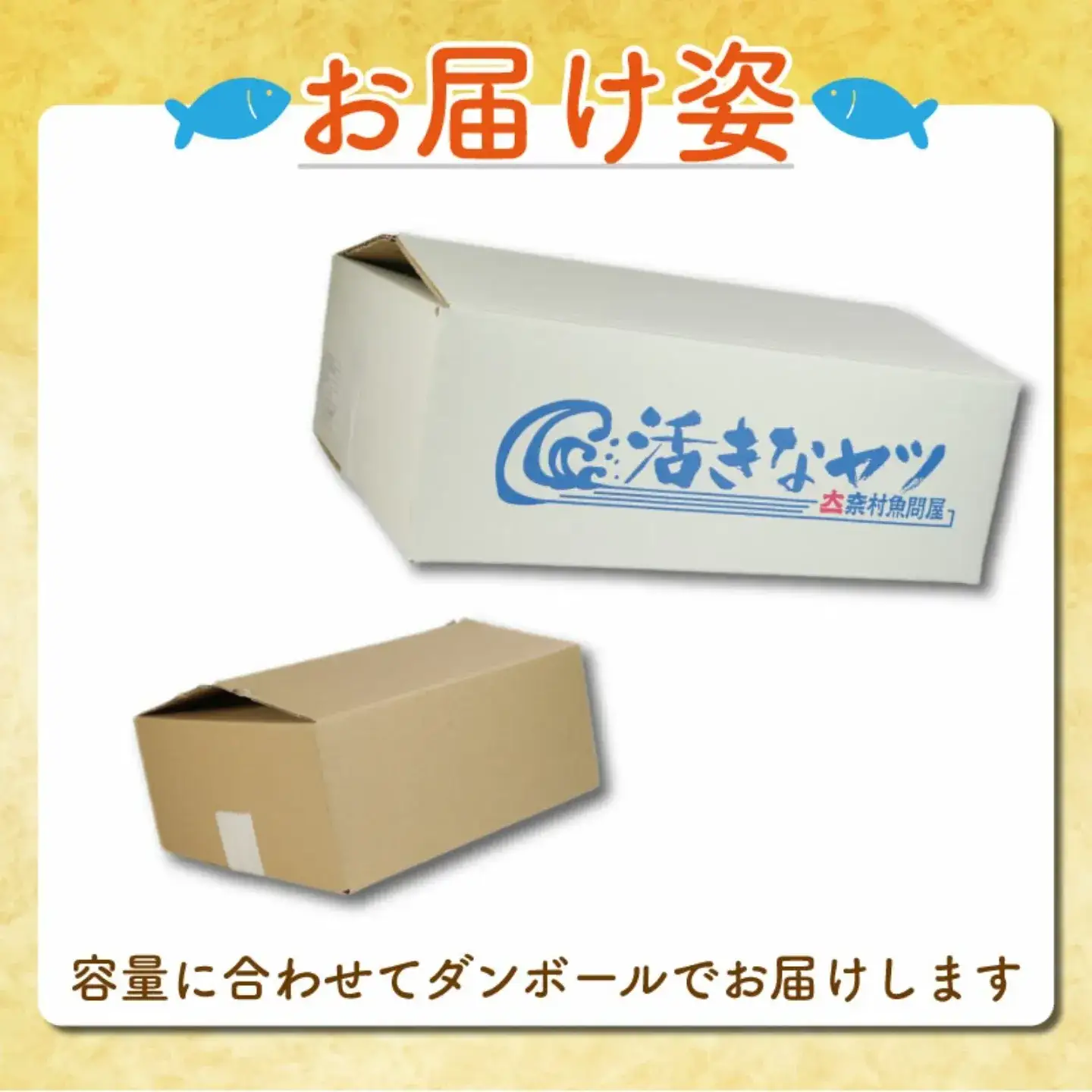 訳あり 塩鯖 500g 鯖