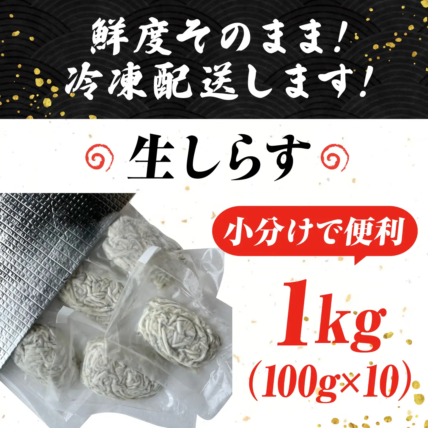 冷凍生しらす100g×10個 しらす[XCN006]